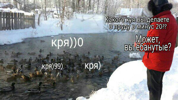 акого ВЫ делаете прудуив минус 202 Может, кря)} кря)99) кря)