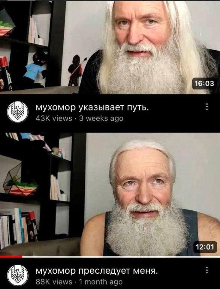 16:03 мухомор указывает путь. о views 3 weeks ago мухомор преследует меня. views 1 month ago