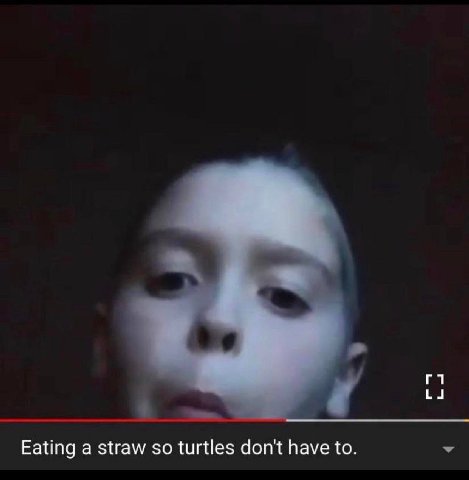 Eating a straw turtles dont have to.