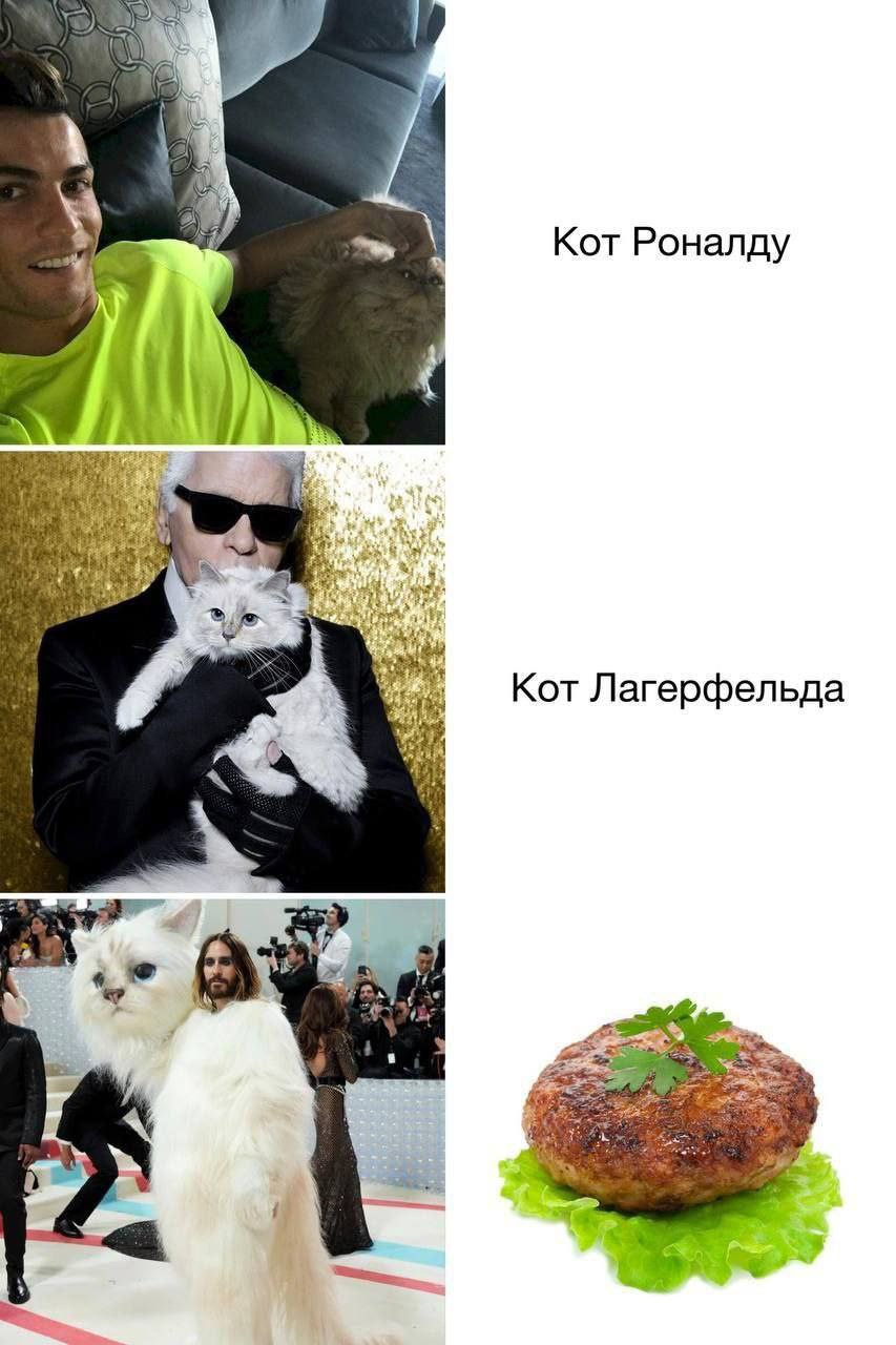 a у Кот Роналду a Кот Лагерфельда a