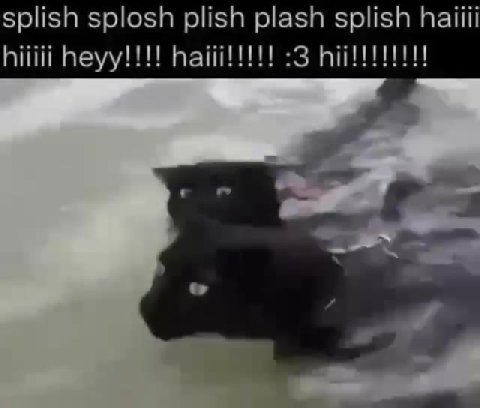splish splosh plish plash splish haiiii