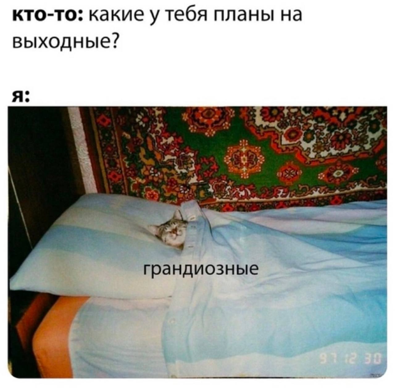 кто-то: какие у тебя планы на выходные? я: 3 грандиозные det