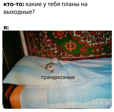 кто-то: какие у тебя планы на выходные? я: 3 грандиозные det