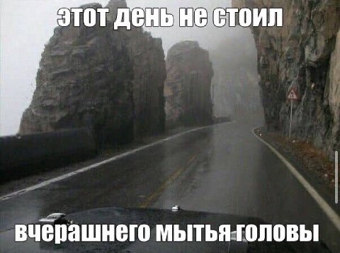 этот стоил вчерашнего мытья головы