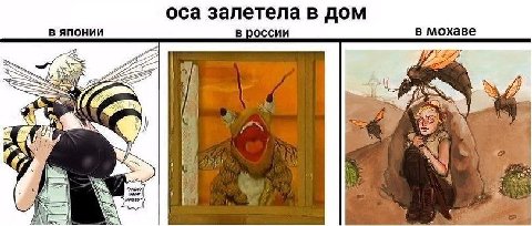 оса залетела в дом в японии в россии в мохаве