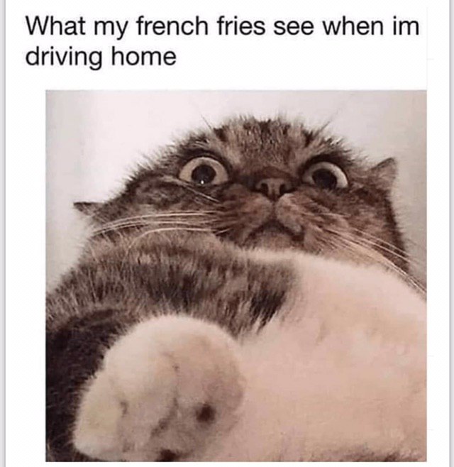 What my french fries see when driving home