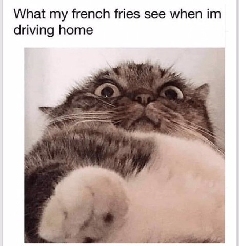 What my french fries see when driving home