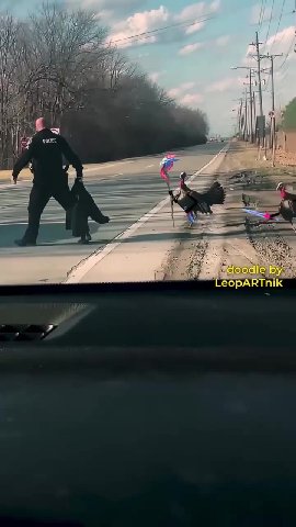 мем
