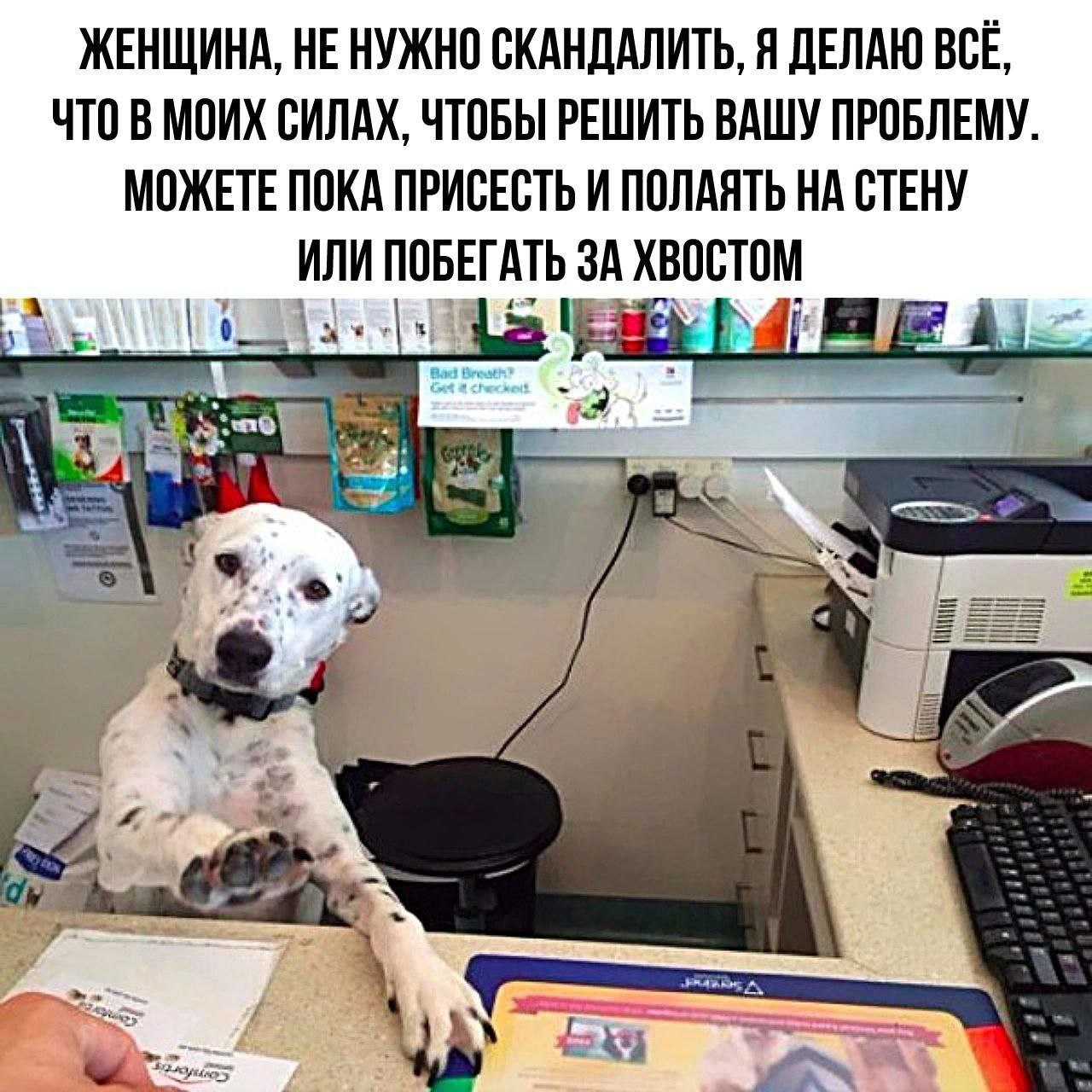 ЖЕНЩИНА, НЕ НУЖНО СКАНДАЛИТЬ, Я ДЕЛАЮ ВСЕ, ЧТО СИЛАХ, ЧТОБЫ РЕШИТЬ ВАШУ ПРОБЛЕМУ. МОЖЕТЕ ПОКА ПРИСЕСТЬ И ПОЛАЯТЬ НА СТЕНУ ИЛИ ПОБЕГАТЬ ЗА ХВОСТОМ 4 A