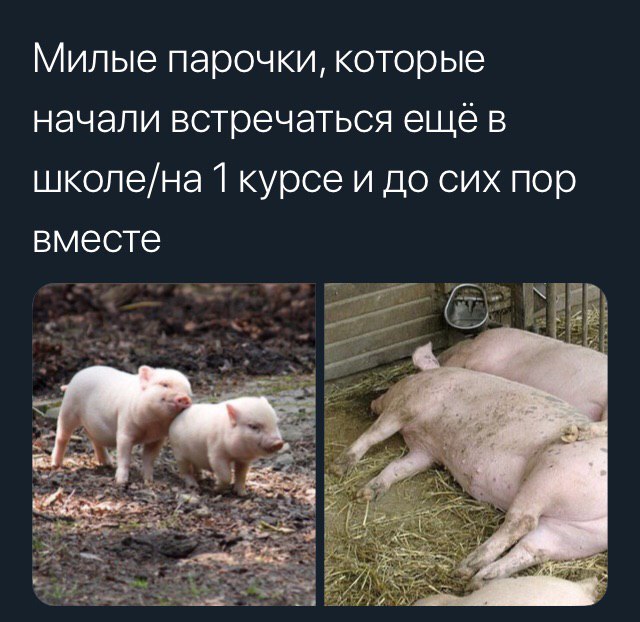 битва фандомов
