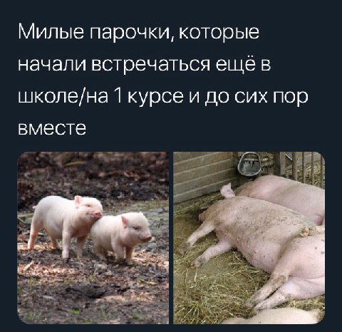 битва фандомов
