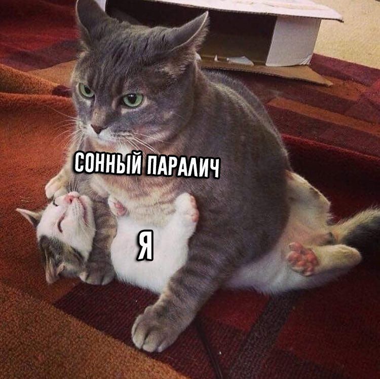 СОННЫЙ ПАРАЛИЧ