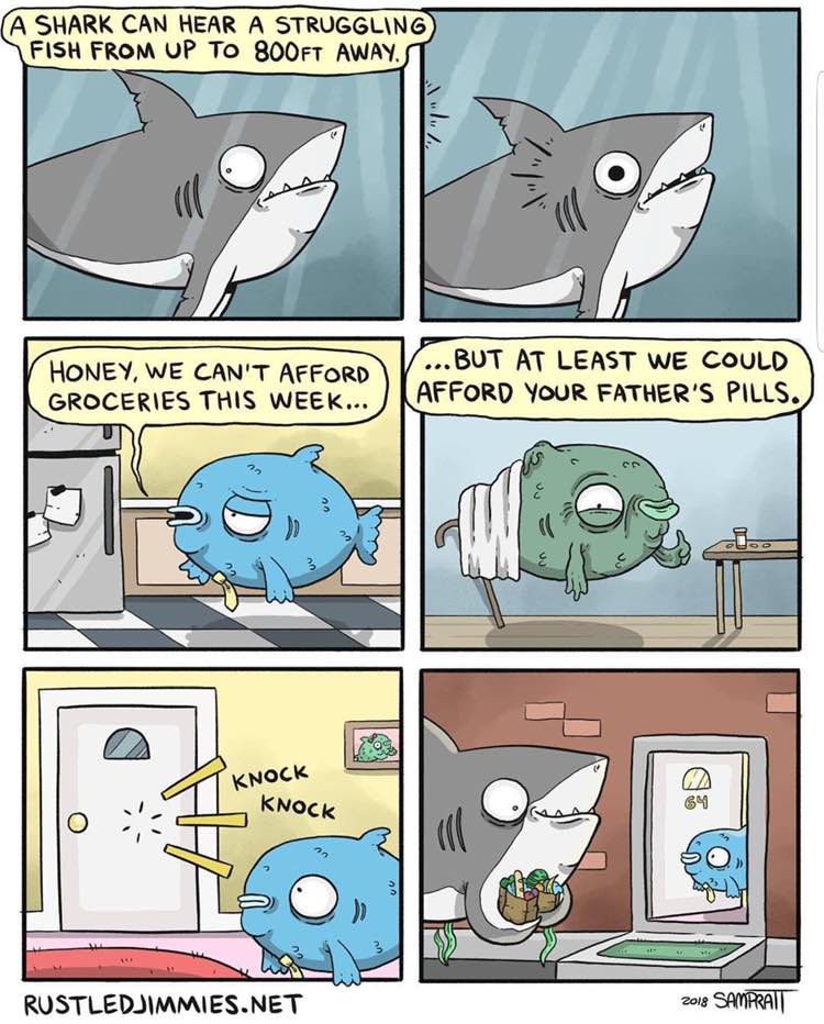 А SHARK CAN HEAR А STRUGGLING) FISH FROM UP То 1 an 4. HONEY, WE CAN'T LEAST WE COULD GROCERIES THIS WEEK... KAFFORD YouR FATHER’S PILLS. 3 2 2 3 5 RUSTLEDJIMMIES.NET