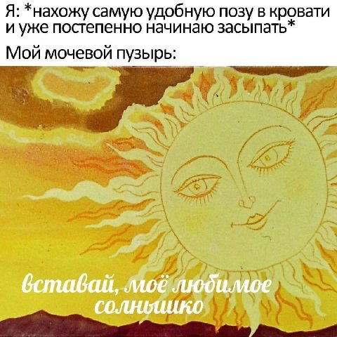 Я: *нахожу самую удобную позу в кровати и уже постепенно начинаю засыпать* Мой мочевой пузырь моё любимое