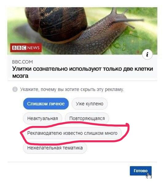 NEWS BBC.COM Улитки сознательно используют только две клетки мозга Укажите, почему вы хотите скрыть эту рекламу Неактуальная Повторяющаяся Рекламодателю известно слишком много Нежелательная тематика