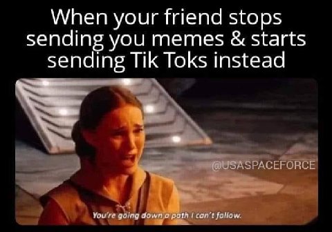 When your friend stops sending you memes starts Tik Toks instead sendin You're going down а tcan't follow.