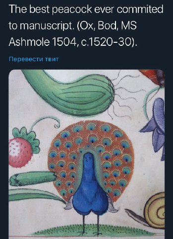 The best peacock ever commited to manuscript. Bod, Ashmole 1504, с.1520-30). Перевести TBUT a a 4