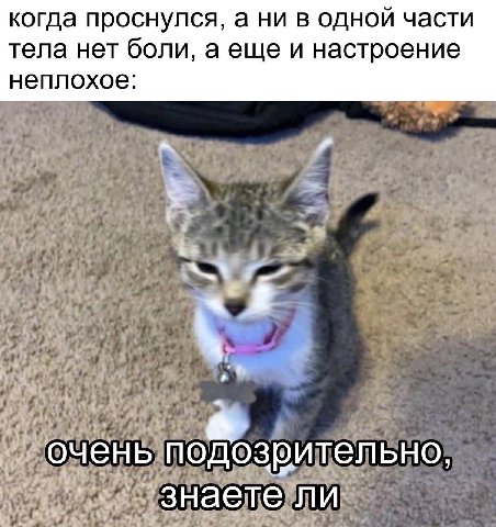 когда проснулся, а ни в одной части тела нет боли, а еще и настроение неплохое: у 4 очень подозрительно, ‘знаете ли
