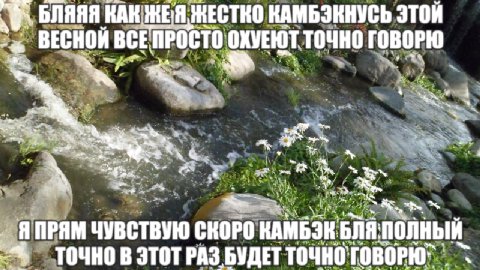 БЛЯЯЯ КАК КАМБЭКНУСЬ ЭТОЙ ВЕСНОЙ ВСЕ ПРОСТО ОХУЕЮТ ТОЧНО ГОВОРЮ ЯПРЯМ ЧУВСТВУЮ СКОРО КАМБЭК БЛЯ ПОЛНЫЙ. ТОЧНО В ЭТОТ РАЗ БУДЕТ ТОЧНО