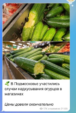 у В Подмосковье участились случаи надкусывания огурцов в магазинах Цены довели окончательно 17К изменено 21:09