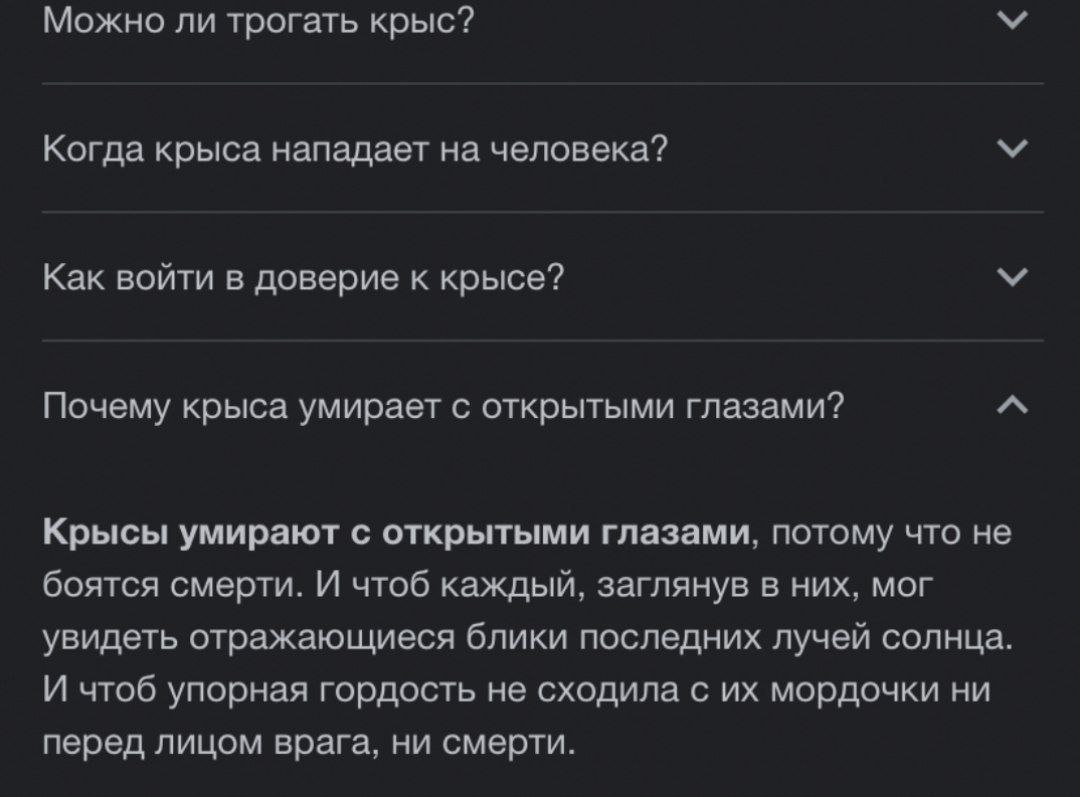 Можно ли трогать крыс? Когда крыса нападает на человека? Как войти в доверие к крысе? Почему крыса умирает с открытыми глазами? Крысы умирают с открытыми глазами, потому что не боятся смерти. И чтоб к