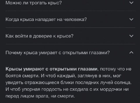 Можно ли трогать крыс? Когда крыса нападает на человека? Как войти в доверие к крысе? Почему крыса умирает с открытыми глазами? Крысы умирают с открытыми глазами, потому что не боятся смерти. И чтоб к