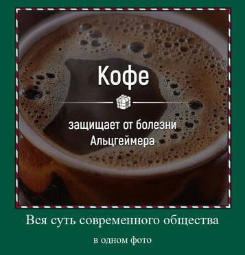 Кофе защищает от болезни Альцгеймера Вся суть современного общества в одном фото