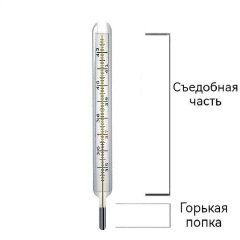 Съедобная часть Горькая попка