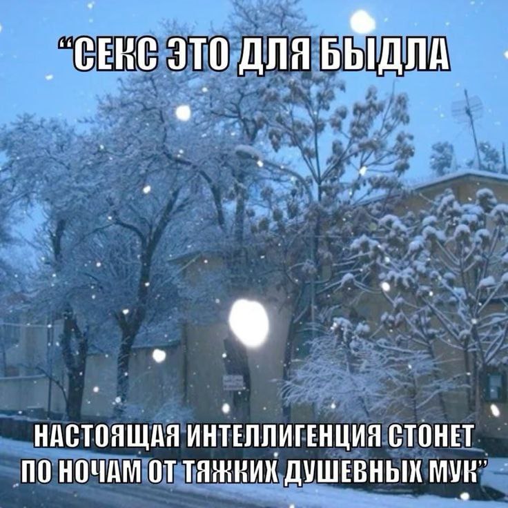 JTO ДЛЯ БЫДЛА НАСТОЯЩАЯ ИНТЕЛЛИГЕНЦИЯ СТОНЕТ ПО НОЧАМ ДУШЕВНЫХ MVR"