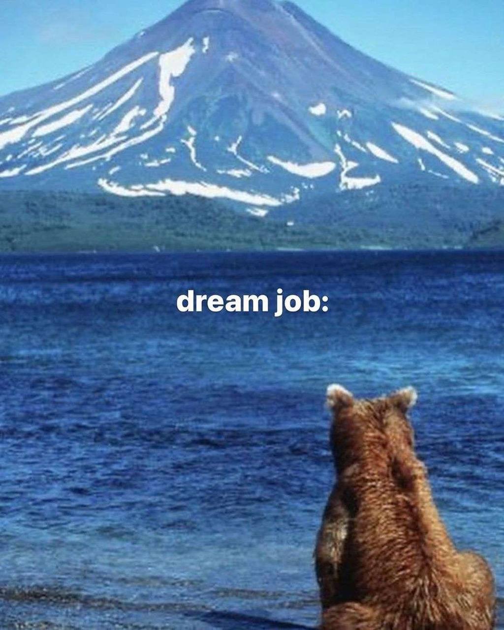 4 dream job: