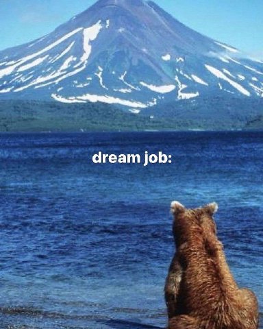 4 dream job: