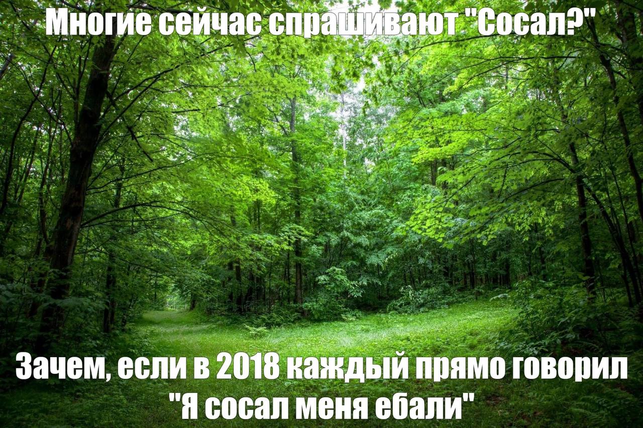 _Мног сейчас спра У 2.4. whe 41 у ВИЛ Зачем, если в 2018 каждый прямо гово "Я сосал меня ебали"