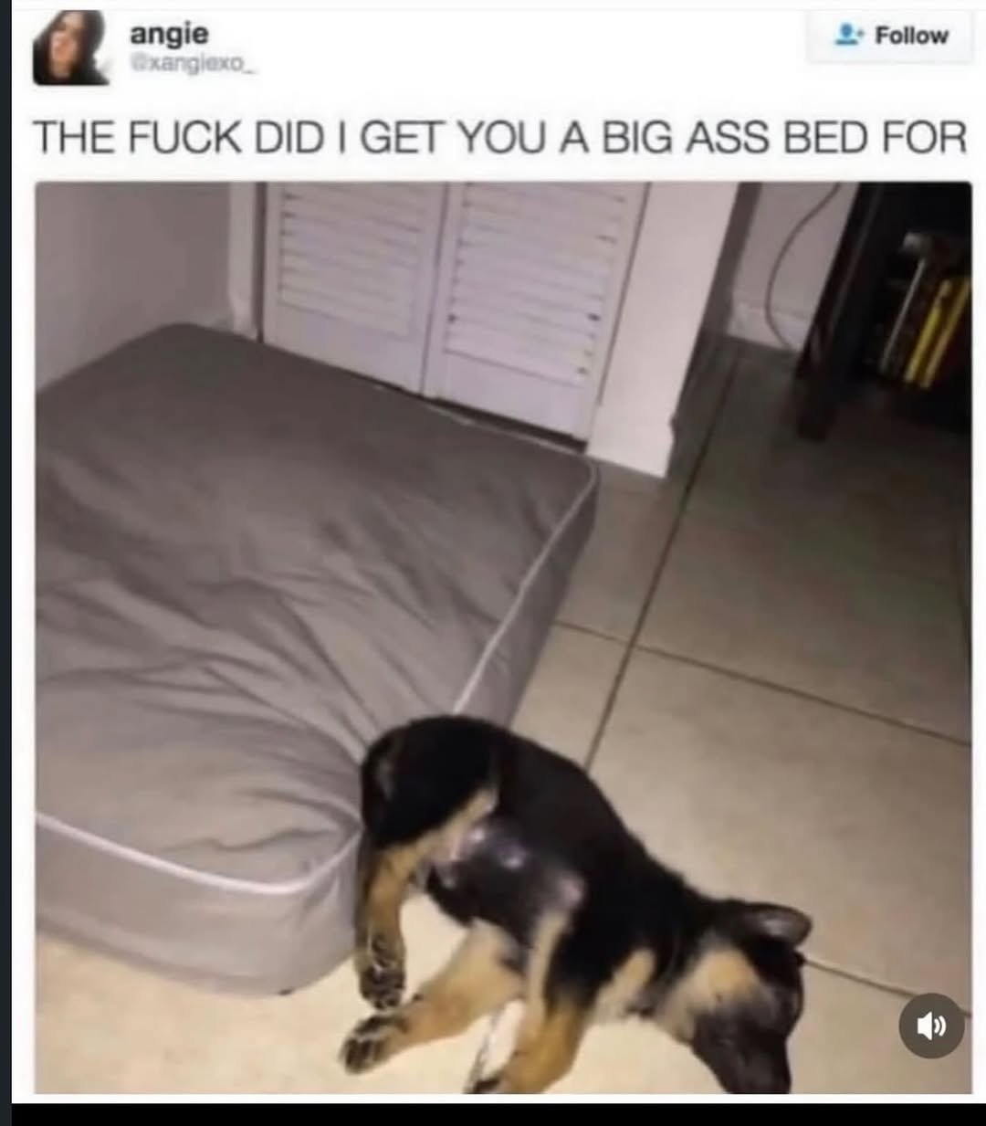 Follow THE FUCK DID GET YOU A BIG ASS BED FOR