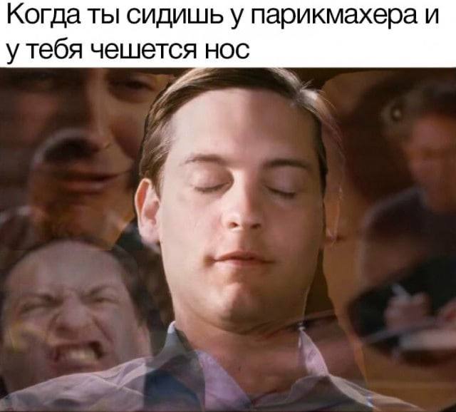 Когда ты сидишь у парикмахера и Я НОС утебя чешетс: И