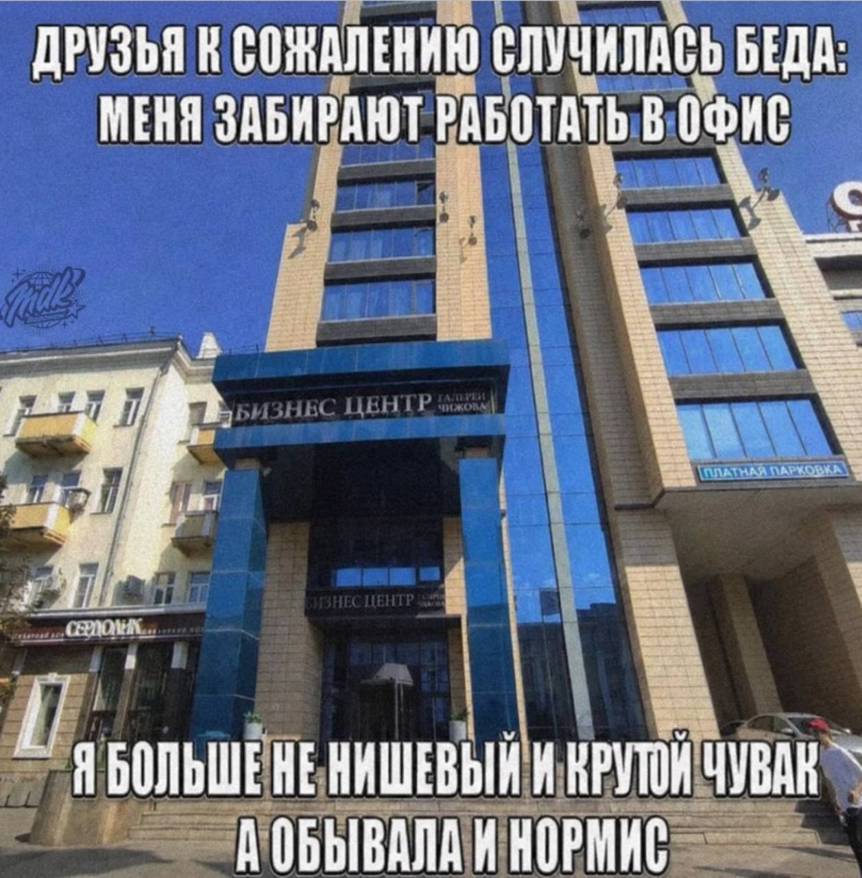 ДРУЗЬЯ К СОЖАЛЕНИЮ СЛУЧИЛАСЬ БЕДА: МЕНЯ ЗАБИРАЮТ РАБОТАТЬ В ОФИС ЯБОЛЬШЕНЕНИШЕВЫЙ И КРУТОН ЧУВАК А ОБЫВАЛА И НОРМИС