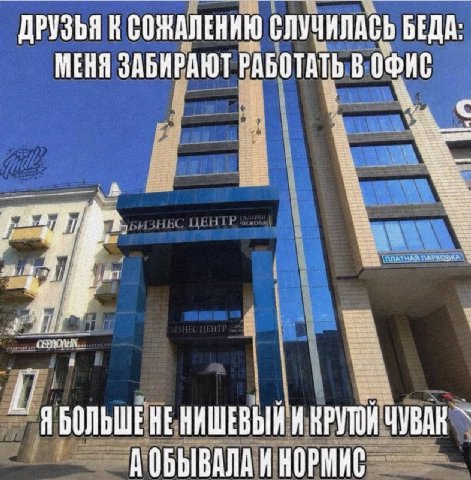 ДРУЗЬЯ К СОЖАЛЕНИЮ СЛУЧИЛАСЬ БЕДА: МЕНЯ ЗАБИРАЮТ РАБОТАТЬ В ОФИС ЯБОЛЬШЕНЕНИШЕВЫЙ И КРУТОН ЧУВАК А ОБЫВАЛА И НОРМИС