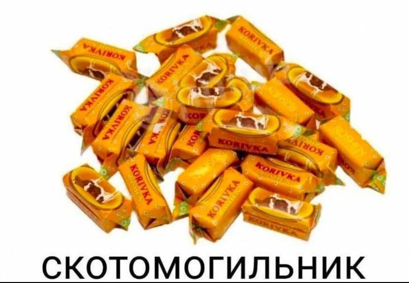 СКОТОМОГИЛЬНИК