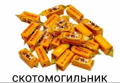 СКОТОМОГИЛЬНИК