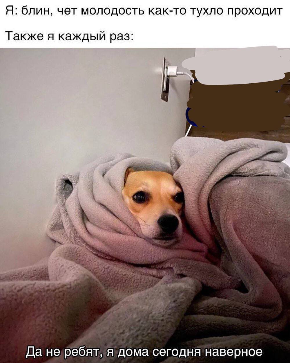 Я: блин, чет молодость как-то тухло проходит Также я каждый раз: Да не ребят, я дома сегодня наверное