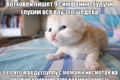бетховен пишет 9 ГЛУХИМ это шедевр а то что я веду группу с мемами несмотря на