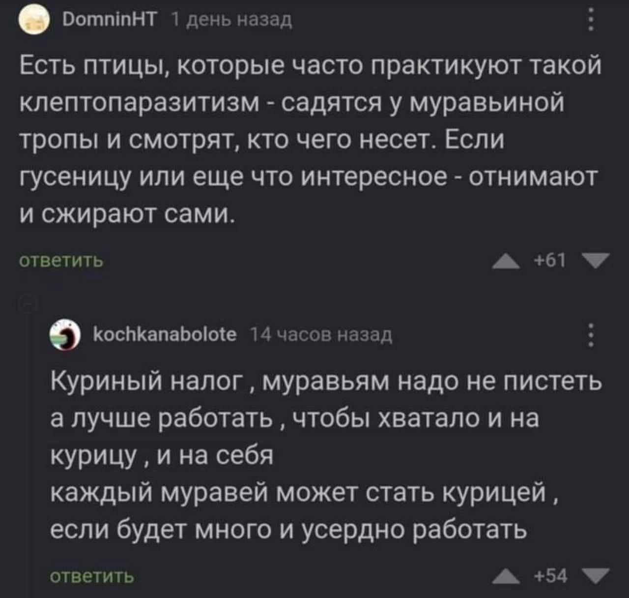 DomninHT 1 день назад Есть птицы, которые часто практикуют такой клептопаразитизм садятся у муравьиной тропы и смотрят, кто чего несет. Если гусеницу или еще что интересное отнимают и сжирают сами. от