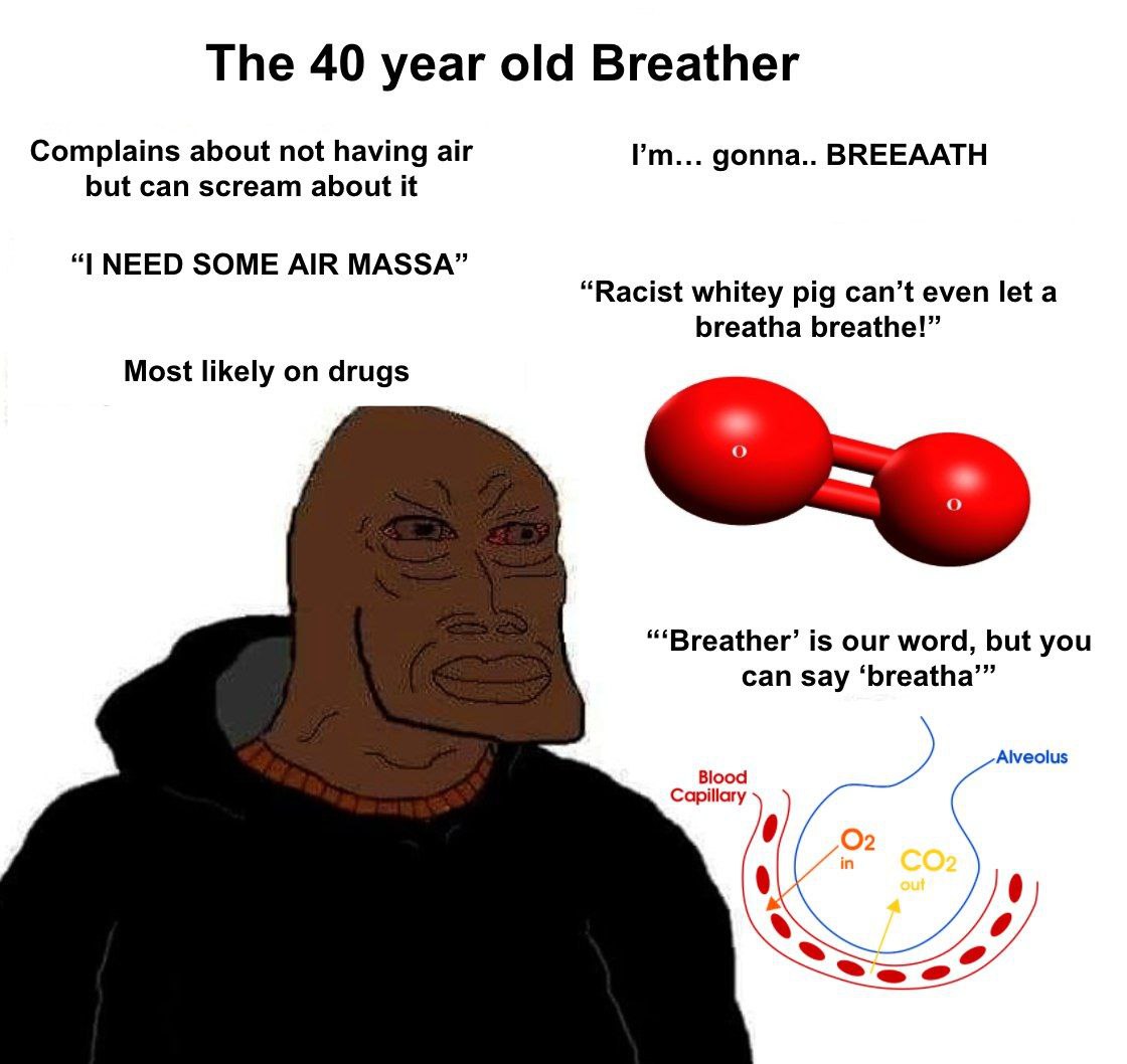 The 40 year old Breather Complains about not having air gonna.. BREEAATH but can scream about it NEED SOME AIR MASSA” “Racist whitey pig can’t even let a breatha breathe!” Most likely on drugs is our 