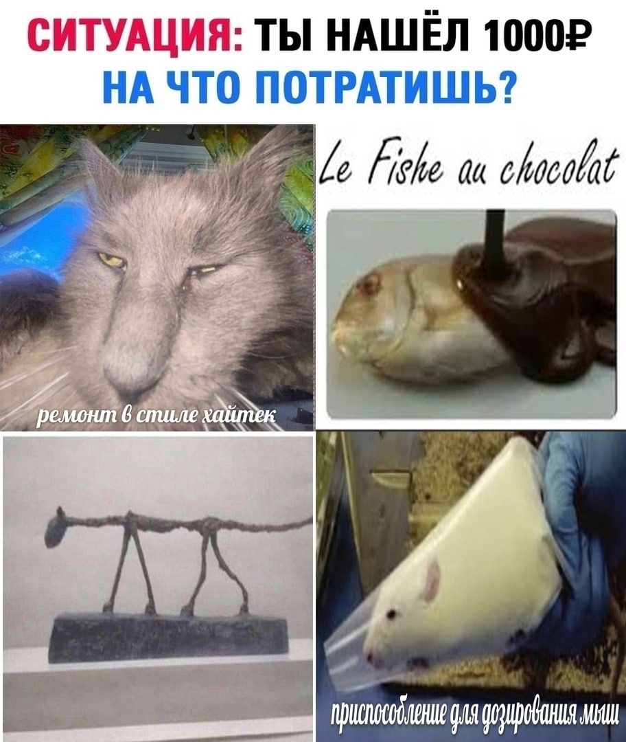 СИТУАЦИЯ: ТЫ НАШЕЛ НА ЧТО ПОТРАТИШЬ? Fiche chocolat ремонт 6 стиле хайтек, gas мыш