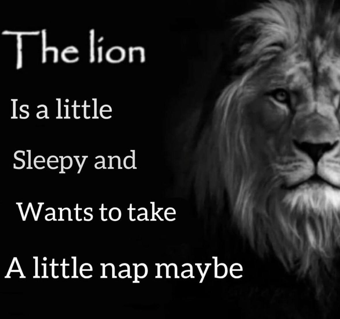 ТЬе lion Is a little Sleepy and Wants to take A little nap maybe