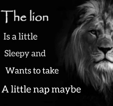 ТЬе lion Is a little Sleepy and Wants to take A little nap maybe