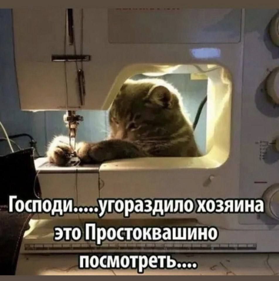 Господи угораздило хозяина Я это Простоквашино посмотреть...