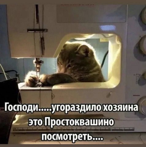Господи угораздило хозяина Я это Простоквашино посмотреть...