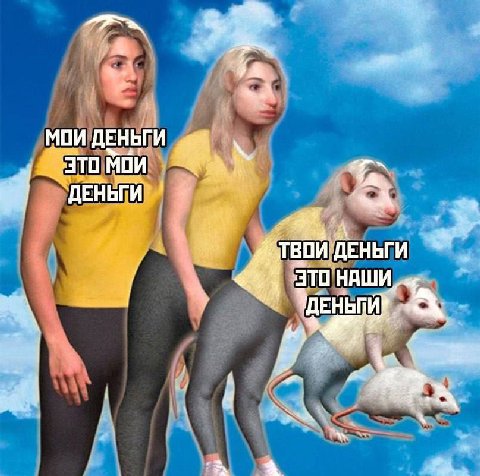 МОИ ДЕНЬГИ ЭТО МОИ ДЕНЬГИ! ТВОИ ДЕНЬГИ ЭТО
