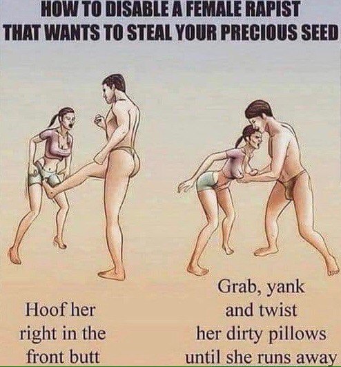 HOW ТО DISABLE A FEMALE RAPIST THAT WANTS TO STEAL YOUR PRECIOUS SEED Grab, yank Hoof her and twist right in the her dirty pillows front butt until she runs away