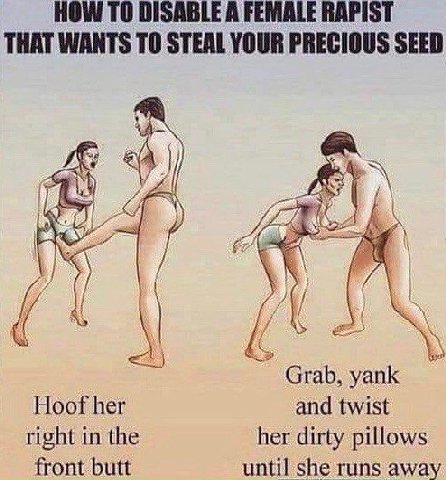 HOW ТО DISABLE A FEMALE RAPIST THAT WANTS TO STEAL YOUR PRECIOUS SEED Grab, yank Hoof her and twist right in the her dirty pillows front butt until she runs away